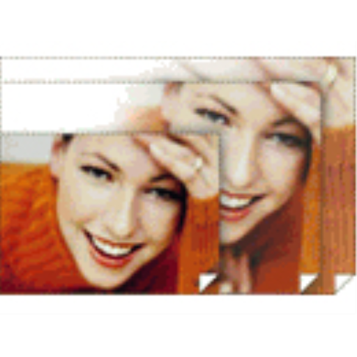 Epson Premium Glossy Photo Paper 17'' x 22'', 25 She