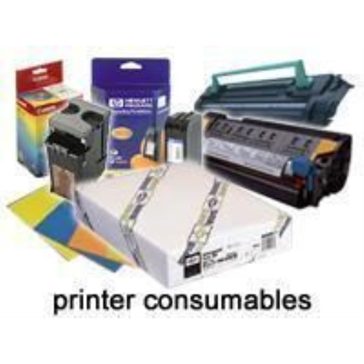 Epson Enhanced Adhesive Synthetic Paper 24" x 100' R